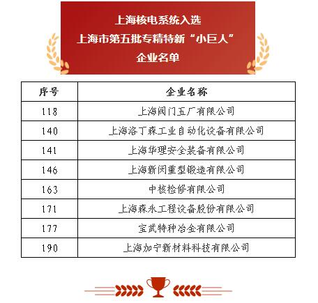 上海閥門五廠 以突破性閥門基礎(chǔ)軟件躋身“小巨人”，砥礪前行無畏創(chuàng)新華章