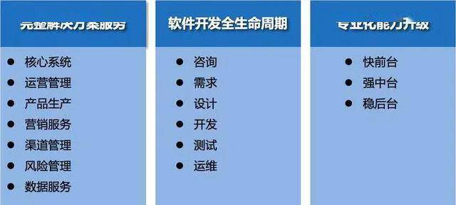 潤和軟件“一體兩翼，雙輪驅(qū)動(dòng)”戰(zhàn)略詳解 基礎(chǔ)軟件開發(fā)的核心邏輯與未來路徑