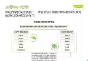 2019年中國教育信息化行業(yè)報告 信息技術(shù)咨詢服務(wù)分析與展望